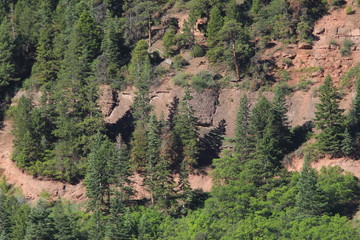 Naklejka premium Baldy Peak Mountain Ouray Colorado