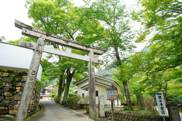 Fototapeta premium Landscape of Minoh