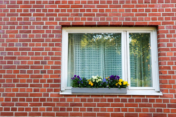 Fototapeta na wymiar Window with colorful flowers on the red brick wall
