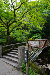 Landscape of Minoh