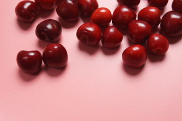 Red sweet cherry scattered on a pink background