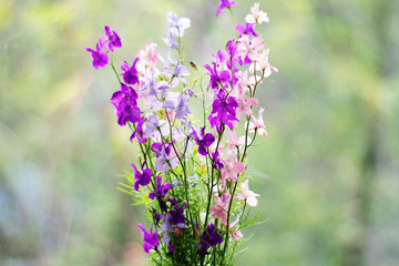 Obraz premium Bouquet of different flowers in a vase on bokeh background with sunlight pattern. Postcard concept