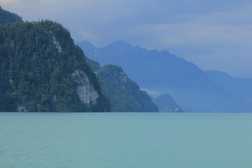 Cliff at the shore of Lake Brienz on a rainy summer day.