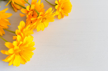Yellow flowers composition on wooden background. Spring, easter, bithday.