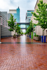 Brick sidewalk in a downtown district with rain on it