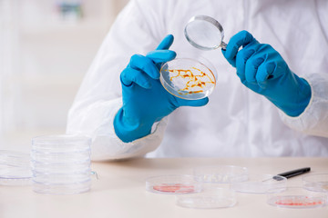 Young male chemist working in the lab 