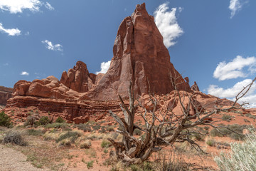 Fototapeta na wymiar red mountain, rare formations, arches national park
