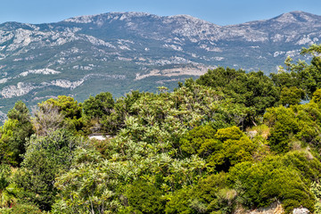Forest and mountains in Montenegro