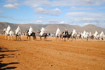 Fantasia, jeu equestre traditionnel algerien