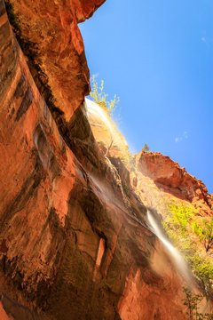 delicate cascade toched by the sun