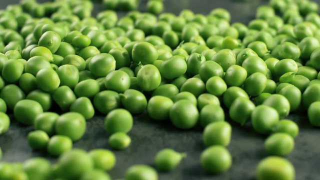 Fresh green pea on dark texture surface. Close up 4k footage.