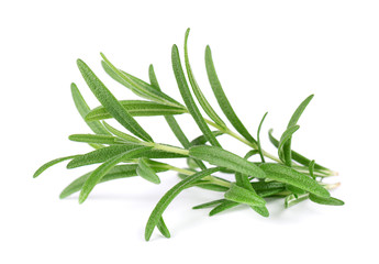 Fototapeta premium Sprig of fresh rosemary isolated on white background. Rosemary branch.