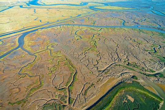 Estuary At Bair Island Marine Park In Redwood City, CA, Aerial View