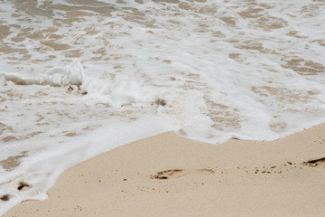 ocean landscape. sand beach and water of blue ocean