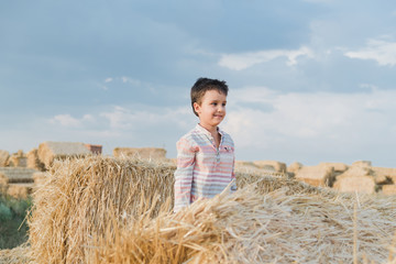 Naklejka na ściany i meble Little boy near hay bale in field. Child on farm land. Wheat yellow golden harvest in autumn. Countryside natural landscape