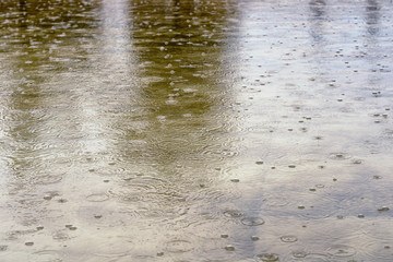 Circles and bubbles from the rain in a puddle with reflection, close up
