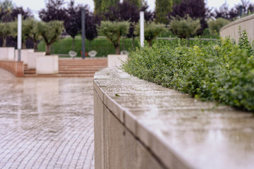 Heavy rain watering a flower bed in the city park, blurred