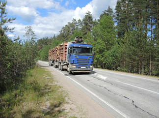 Fototapeta na wymiar Timber truck fully loaded with logs goes on an asphalt road in the forest in summer