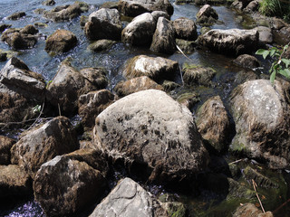 Rapid flow of water flows through large rocks