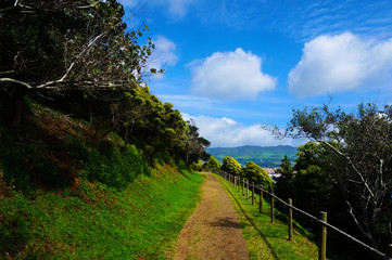 View of Atlantic Ocean in Terceira Island ,Azores