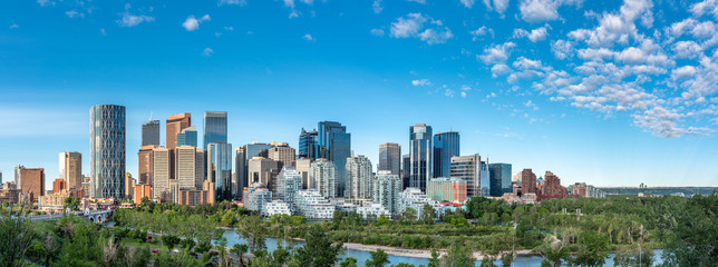 Panoramic view of Calgary's skyline on a summer day. - obrazy, fototapety, plakaty