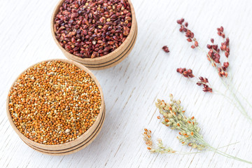 Two boxes with red and yellow millet. Sprigs of millet. White background