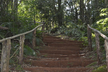 Nature