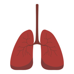 Lungs icon, flat style. Internal organs of the human design element, logo. Anatomy, medicine concept. Healthcare. Isolated on white background. Vector illustration