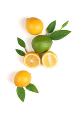 Lemon and  lime on the white background