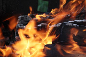 Fototapeta premium Fascinating orange flame of a fire - the element on which you can watch forever.