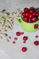 Sweet cherries in a green mug spattered with drops of cool water, next to a gray background a scattering of berries and apricots. 