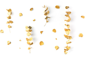 Flat lay of golden tropical leaf design elements. Decoration elements for invitation, wedding cards, valentines day, greeting cards. isolated over white background. Top view