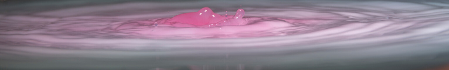 Escribir para añadir, dejar en blanco para borrar © Mercedes Rey Rojas