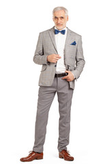 Portrait of smart and handsome intelligent senior man in stylish grey suit isolated on white background
