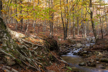 Fototapeta premium Montseny Natural Park