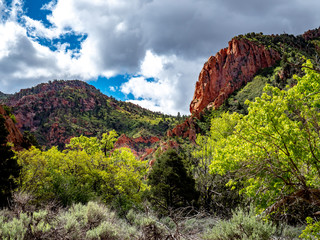 Landscape of the high desert sandstone in the southwest United States