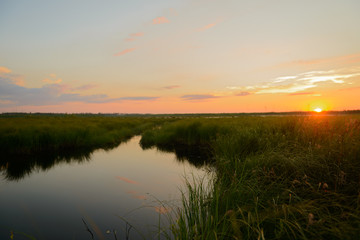 Fototapeta na wymiar Summer sunset on a lake overgrown with reeds.