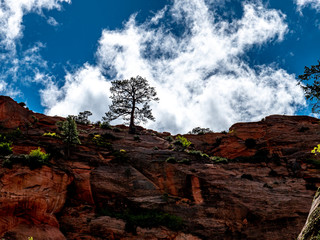 Landscape of the high desert sandstone in the southwest United States