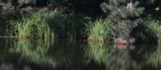 Late Summer Impressions from a Berlin Park of August 31, 2016, Germany