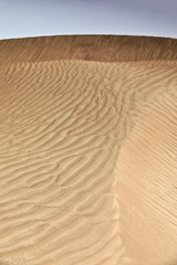 Shifting sand dunes-Takla Makan Desert. Yutian Keriya county-Xinjiang Uyghur region-China-0237