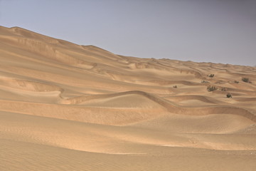 Fototapeta na wymiar Shifting sand dunes-Takla Makan Desert. Yutian Keriya county-Xinjiang Uyghur region-China-0242