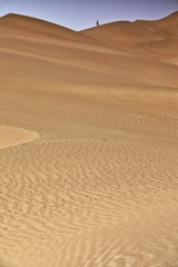 Shifting sand dunes-Takla Makan Desert. Yutian Keriya county-Xinjiang Uyghur region-China-0239