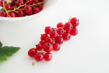 Fresh Juicy Redcurrant isolated on a White Background