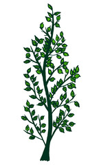 Green tree hand-drawn