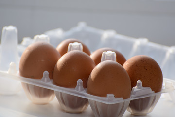 Chicken eggs in a plastic container lit by the sun. Concept - healthy food