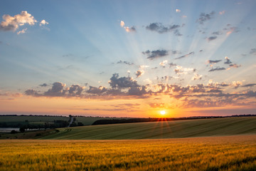 Wheat field with blue sky with sun and clouds against the backdrop