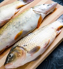 Uncooked fish on cutting board in meal preparation concept