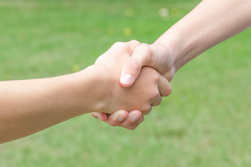 Handshake of two young people in the summer in the park on a background of green grass