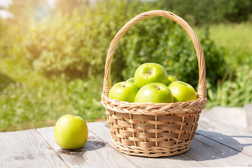 Green and red apples in wicker basket on wooden table Green grass in the garden Harvest time Organic food Sun flare