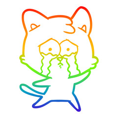 rainbow gradient line drawing cartoon crying cat